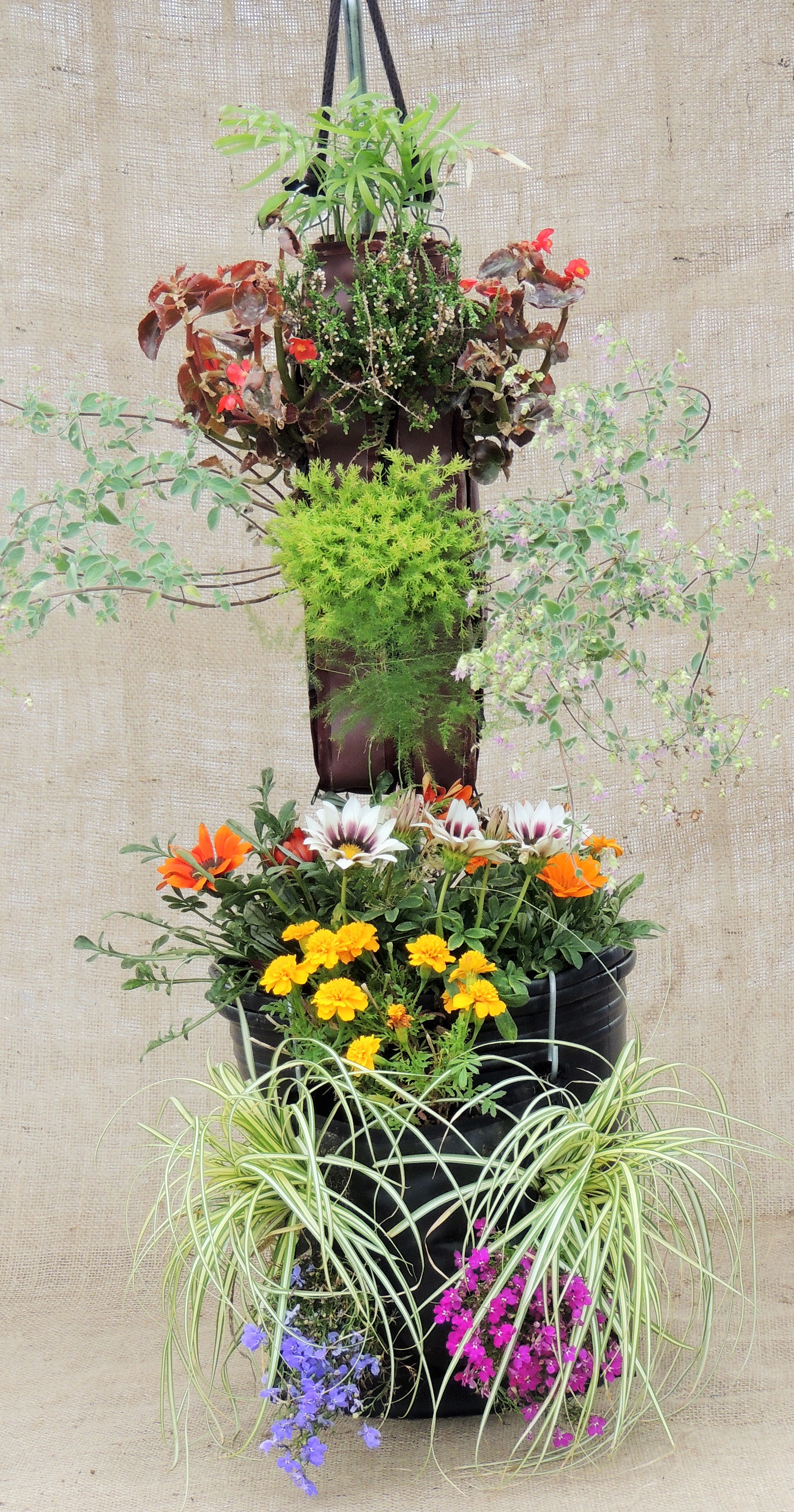 �T���v���C���[�W